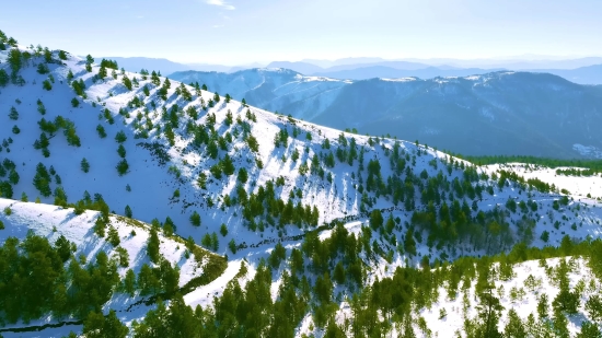 Mountain, Glacier, Snow, Landscape, Tree, Mountains