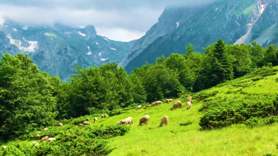 Mountain, Highland, Mountains, Landscape, Alp, Wilderness