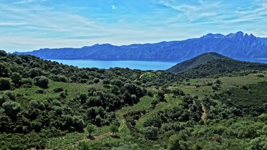 Mountain, Landscape, Highland, Mountains, Wilderness, Tree