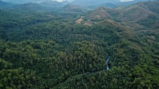 Mountain, Landscape, Highland, Range, Tree, Mountains