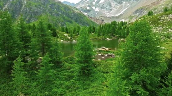 Mountain, Landscape, Mountains, Forest, Range, Valley