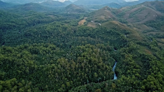 Mountain, Landscape, Mountains, Highland, Range, Tree