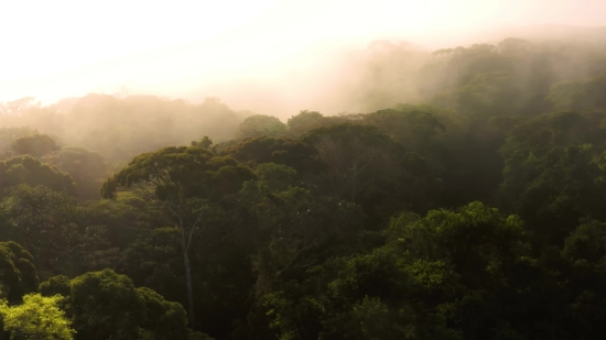 Mountain, Landscape, Mountains, Tree, Forest, Highland