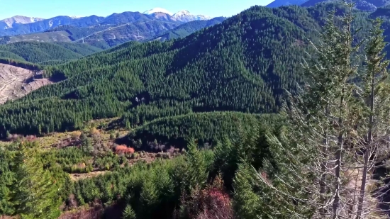 Mountain, Mountains, Landscape, Range, Tree, Valley