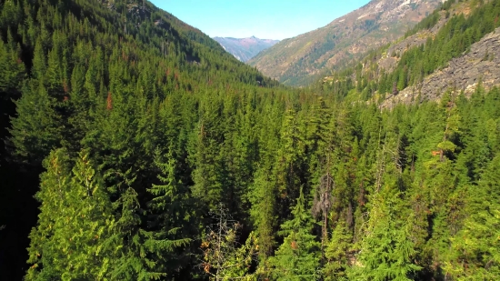 Mountain, Mountains, Landscape, Tree, Wilderness, Range