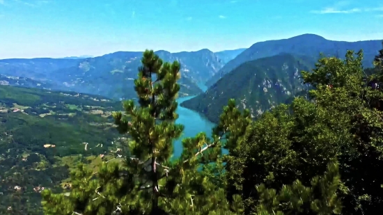 Mountain, Range, Landscape, Fir, Mountains, Tree