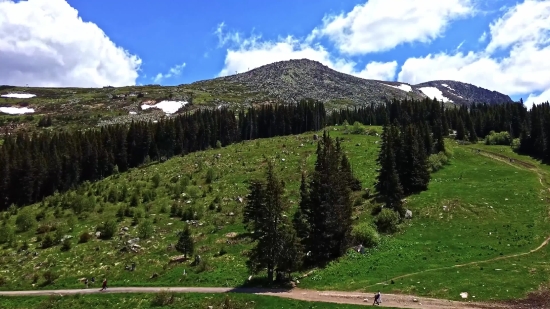 Mountain, Range, Landscape, Mountains, Tree, Forest