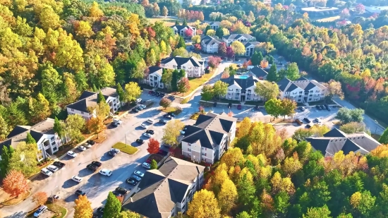 News Room Stock Footage, Tree, City, Travel, Architecture, Town