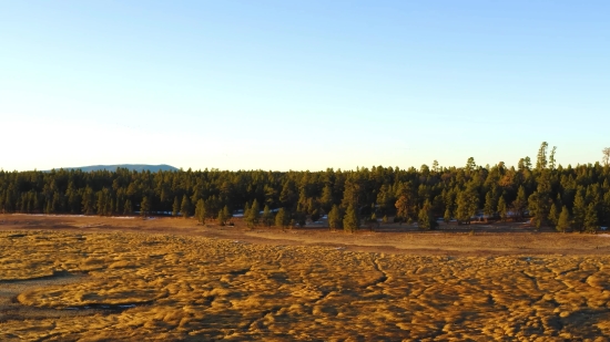 Non Copyright Bgm For Youtube, Landscape, Sky, Tree, Field, Rural