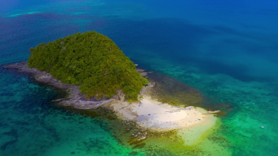 Ocean, Beach, Bay, Sea, Coast, Body Of Water