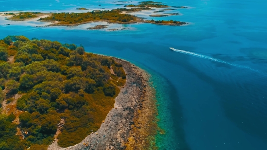 Ocean, Beach, Sea, Coast, Body Of Water, Water