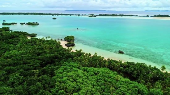 Ocean, Beach, Sea, Coast, Shoreline, Water