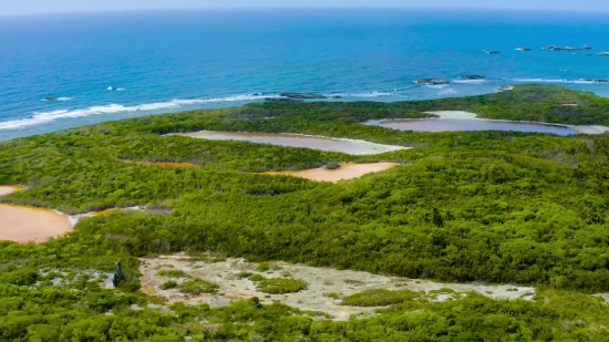 Ocean, Beach, Sea, Coast, Shoreline, Water