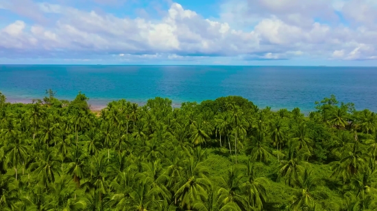 Ocean, Beach, Sea, Sand, Coast, Water