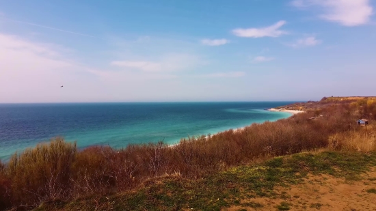 Ocean, Beach, Sea, Shoreline, Sand, Coast