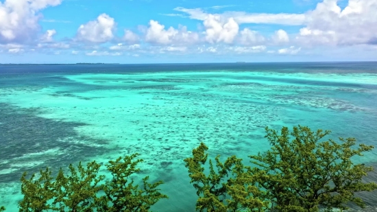 Ocean, Sea, Beach, Body Of Water, Coast, Sand