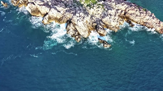 Ocean, Sea Lion, Water, Sea, Eared Seal, Rock