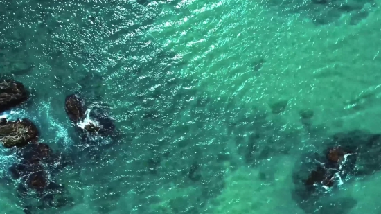 Ocean, Sea, Water, Wave, Body Of Water, Beach