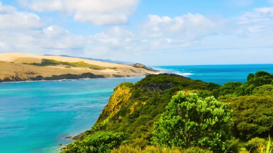 Ocean, Shoreline, Beach, Sea, Coast, Water