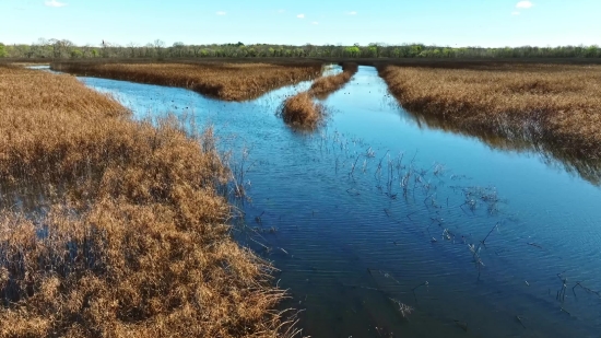 Particle Free Footage, Lake, Landscape, Water, River, Channel