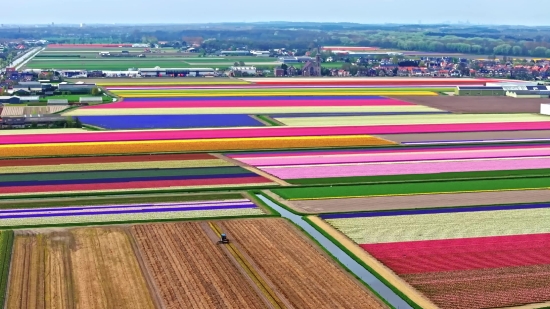 Pencil, Rainbow, Color, Colorful, Pencils, Art