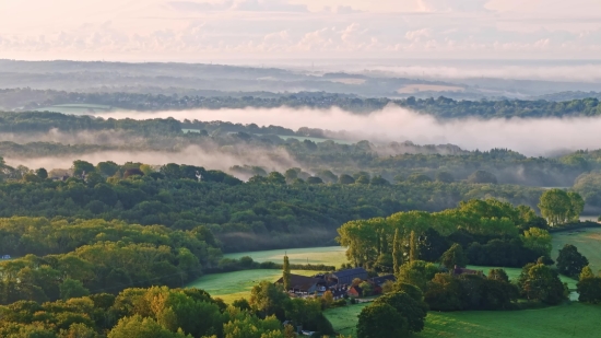 People Stock Video, Gorse, Shrub, Woody Plant, Landscape, Mountain