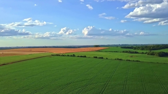 Plain, Field, Grass, Landscape, Rural, Sky