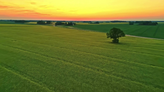 Plain, Land, Field, Grass, Landscape, Meadow