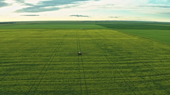 Plain, Land, Field, Grass, Landscape, Meadow