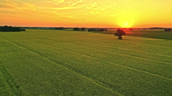 Plain, Land, Sky, Field, Grass, Steppe