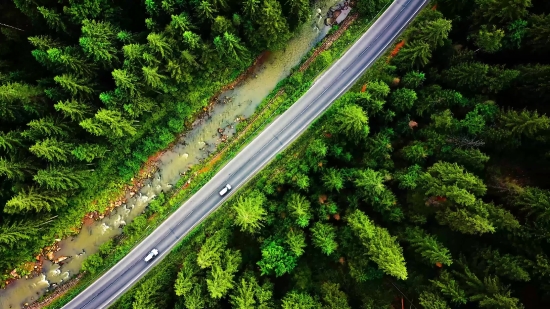 Railing, Road, Transportation, Travel, Highway, Speed