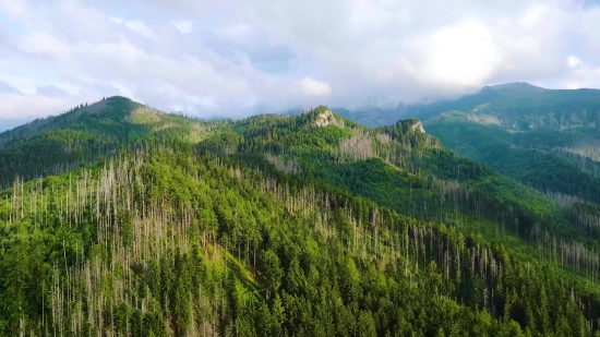 Range, Landscape, Mountains, Mountain, Tree, Forest