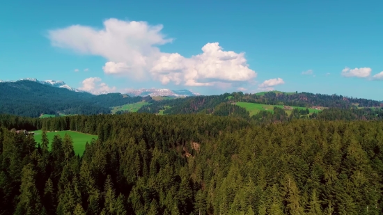 Range, Landscape, Tree, Mountain, Sky, Forest