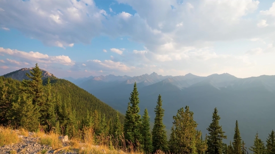 Range, Mountain, Landscape, Forest, Tree, Mountains