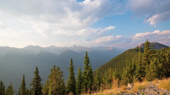 Range, Mountain, Landscape, Forest, Tree, Mountains