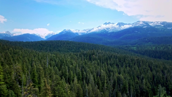 Range, Mountain, Landscape, Mountains, Forest, Snow