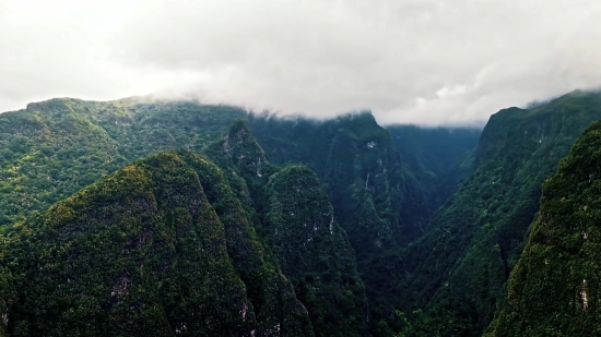 Range, Mountain, Landscape, Mountains, Tree, Forest