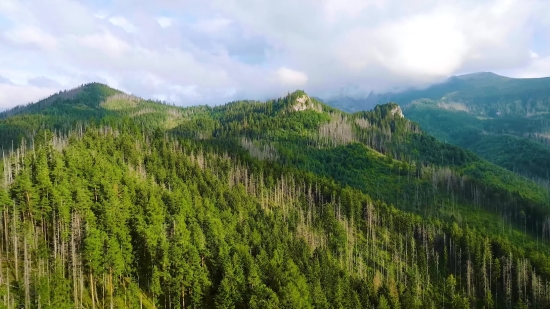 Range, Mountain, Landscape, Mountains, Tree, Forest