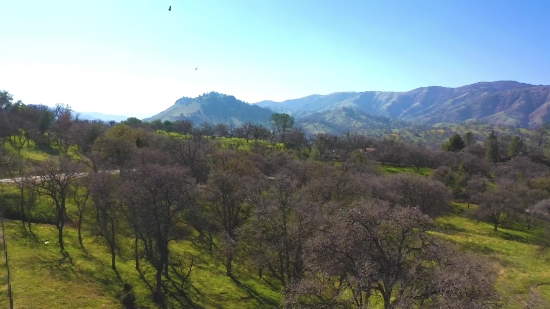 Range, Mountain, Landscape, Mountains, Tree, Sky