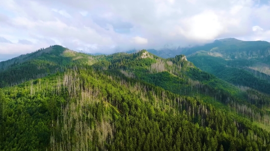 Range, Mountain, Mountains, Landscape, Tree, Forest