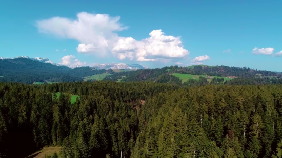 Range, Tree, Landscape, Forest, Mountain, Sky