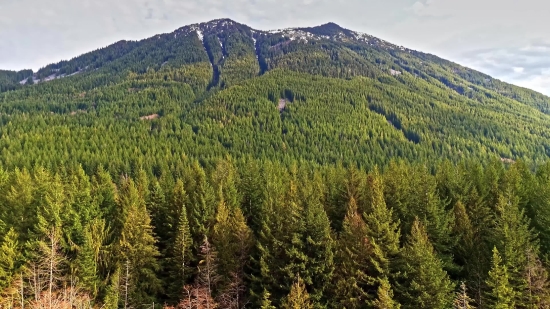 Range, Tree, Landscape, Mountain, Mountains, Sky