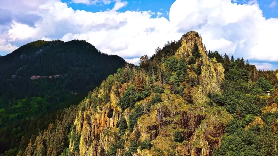 Range, Tree, Mountain, Landscape, Mountains, Forest