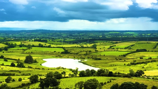 Rapeseed, Landscape, Oilseed, Rural, Field, Grass