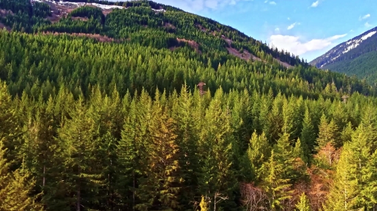 Rawfilm Stock, Syrup, Tree, Landscape, Mountains, Sky