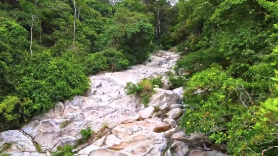 River, Canyon, Forest, Landscape, Mountain, Water