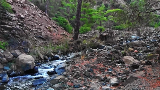 River, Forest, Mountain, Landscape, Water, Tree