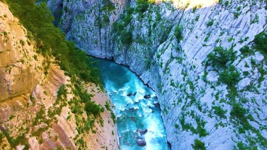 River, Forest, Tree, Water, Landscape, Rock