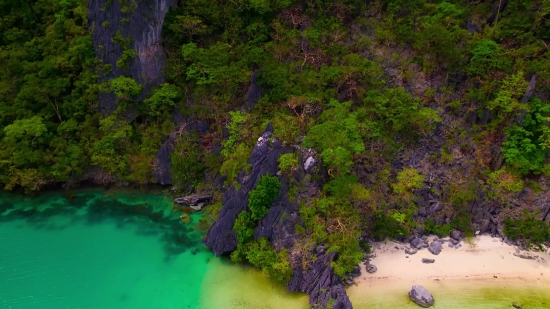 River, Landscape, Tree, Water, Forest, Lake