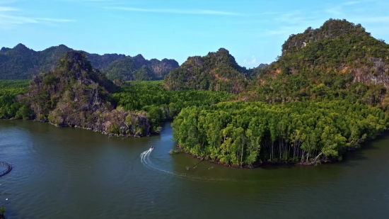 River, Landscape, Water, Lake, Forest, Tree